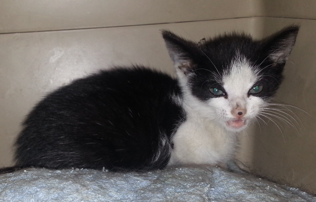 Dewey's first photo